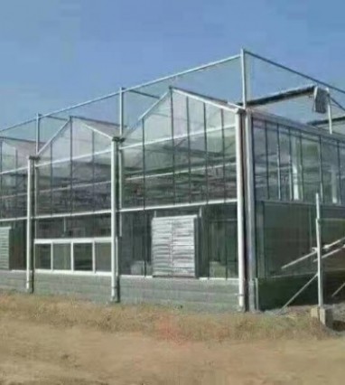 玻璃溫室大棚建設(shè)需要考慮天氣因素么
