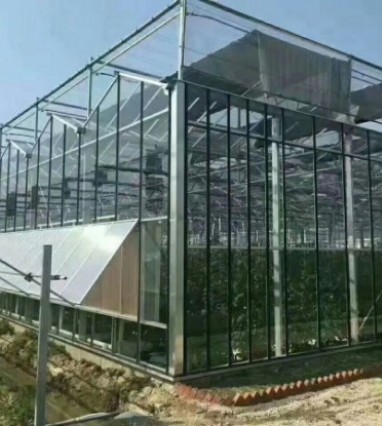 智能溫室大棚的發(fā)展趨勢(shì)