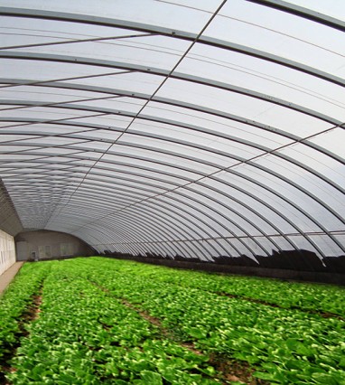 夏季溫室大棚降溫的方法有哪些？